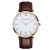 BROWN BAND SILVER DIAL ROSE GOLD CASE  +